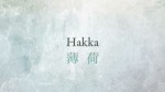 Hakka / cloudchair