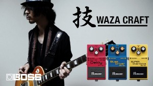 Boss 技 Waza Craft - SD-1W, BD-2W & DM-2W