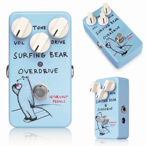 Surfing Bear Overdrive