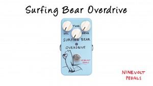 Surfing Bear Overdrive